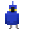 bird_dance
