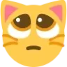 pleading_cat