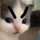 bmeme_catangry Discord Emoji