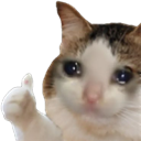 cb_cat_okay Discord emoji