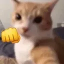 catpunch