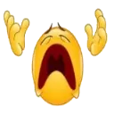 WHY