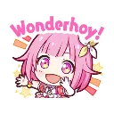 WONDERHOY