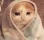 0_catgn