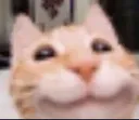 bnx9_catsmile bnx9_catsmile