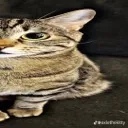 emoji_27