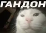 gandon