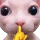 shhh shhh