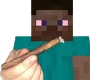 stevejoint