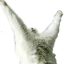 catpraise