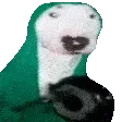 walterpan