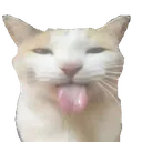 BLEHHHHH_Cat