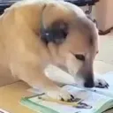 SadDoggoStudy Discord Emoji