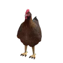 7F8244FB9F03438D825B98DE773FE34C