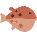 bf_r