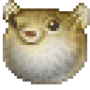 pufferfishNoSpines