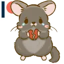 Chinchilla