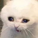 cry