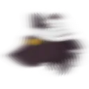 Iamspeed