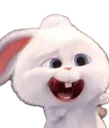 MRRabbitHaha MRRabbitHaha
