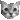 catblinking