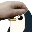 gunterpet