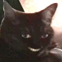 1648329625_30kartinkofclubpkotsu Discord Emoji