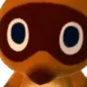 nookSTARE