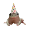 froge froge
