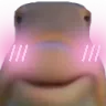 iwakblush iwakblush
