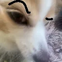 dogsus Discord Emoji