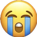 cry cry