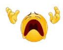 emojiNOOO