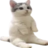 catsit