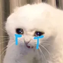 sadcat