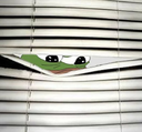spypepe Discord emoji