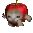 xapplecatrun animated Discord emote from AI CHATBOT MASTER 《🏷 100k+ Guild TAGS》┇ social ⋆ gaming ⋆ anime ⋆ chill ⋆ emotes⭑tech⭑[Character.AI]