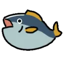 tuna