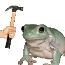 bonkfrog Discord Emoji