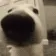 SNIFFA SNIFFA