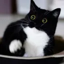 frightened frightened