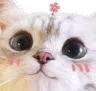 HappyKit