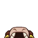 Peek Peek