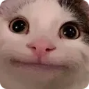 cathmm