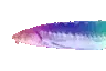 JoelRainbow1