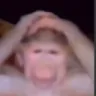 bro