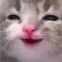 happycat