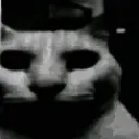 CATDESPAIR