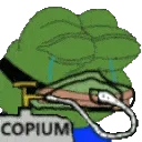 COPIUMOD