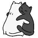 funnygifsbox
